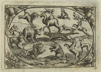TvB G 4425
          <br/>
          Twaalf afbeeldingen met dieren
          <br/>
          <em>Staker, Heinrich (??)</em>